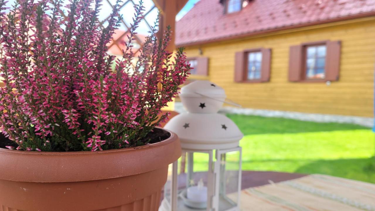 Guesthouse Chalupa Alžbetka so saunou Važec Exteriér fotografie